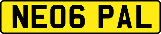 NE06PAL