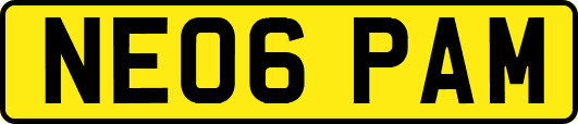 NE06PAM