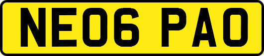 NE06PAO