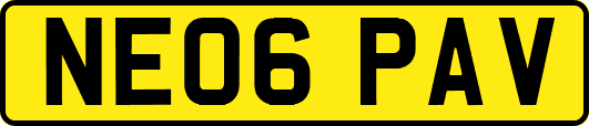 NE06PAV