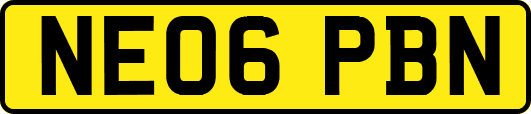 NE06PBN