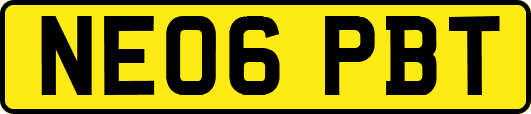 NE06PBT