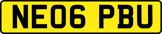 NE06PBU