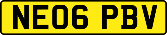 NE06PBV