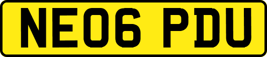 NE06PDU