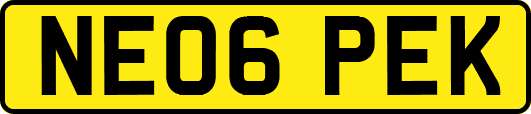 NE06PEK