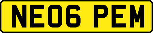 NE06PEM