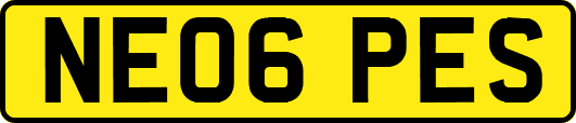NE06PES