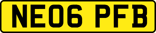 NE06PFB