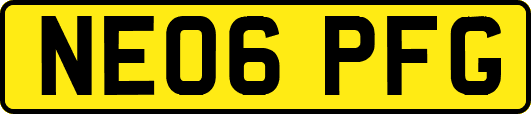 NE06PFG