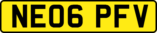 NE06PFV