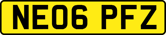 NE06PFZ