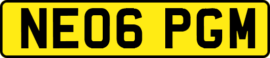 NE06PGM