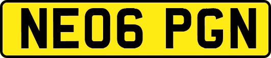 NE06PGN