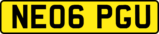 NE06PGU