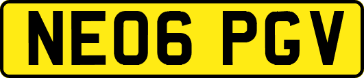 NE06PGV