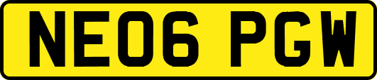 NE06PGW