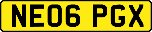 NE06PGX