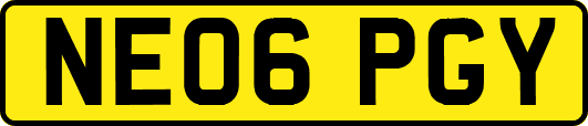NE06PGY