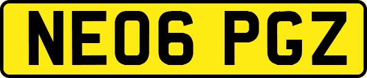 NE06PGZ