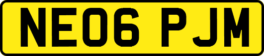 NE06PJM