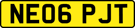 NE06PJT