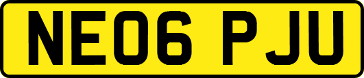 NE06PJU
