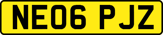 NE06PJZ