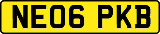 NE06PKB