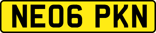 NE06PKN