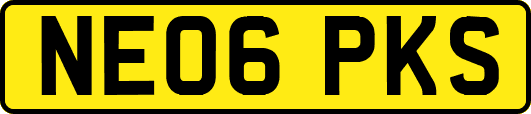 NE06PKS