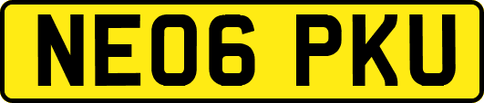 NE06PKU