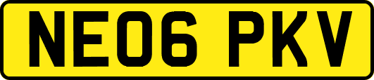 NE06PKV