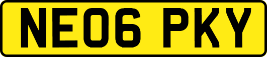 NE06PKY