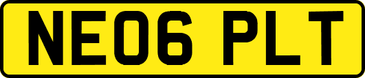 NE06PLT