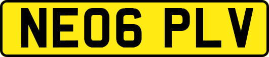 NE06PLV