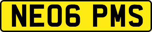 NE06PMS