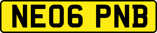 NE06PNB