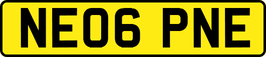 NE06PNE