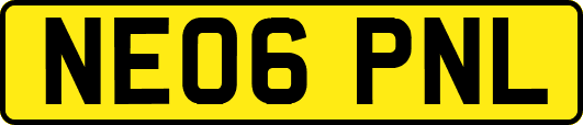 NE06PNL
