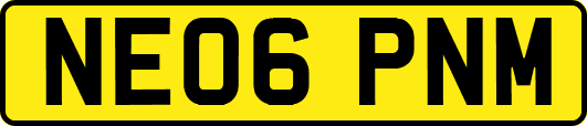 NE06PNM
