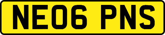 NE06PNS