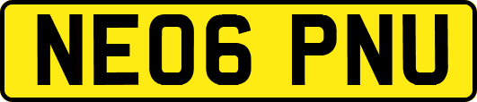NE06PNU