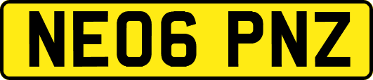 NE06PNZ