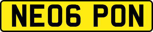 NE06PON