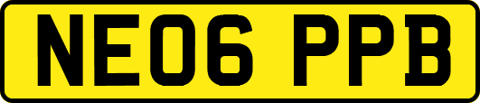 NE06PPB