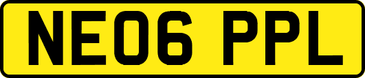 NE06PPL