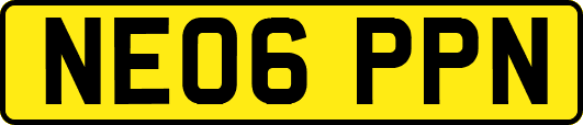 NE06PPN