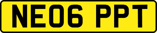NE06PPT
