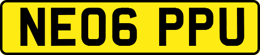 NE06PPU